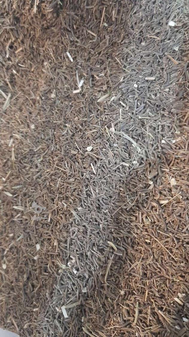 خرید و فروش گیاهان دارویی عمده و خرده