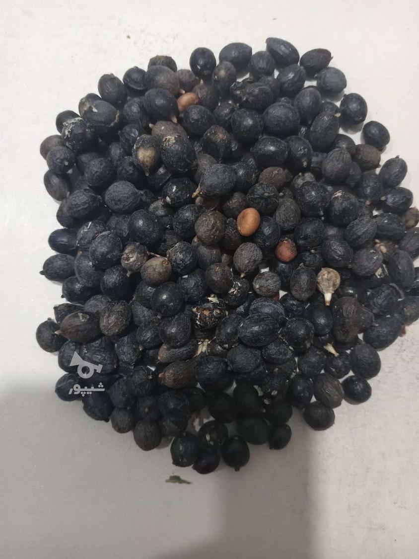 خرید و فروش گیاهان دارویی عمده و خرده