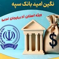 فروش امتیاز وام 2درصدی بانک سپه
