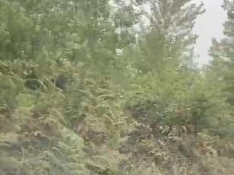 400 متر زمین در جاده ماسال