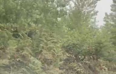 400 متر زمین در جاده ماسال