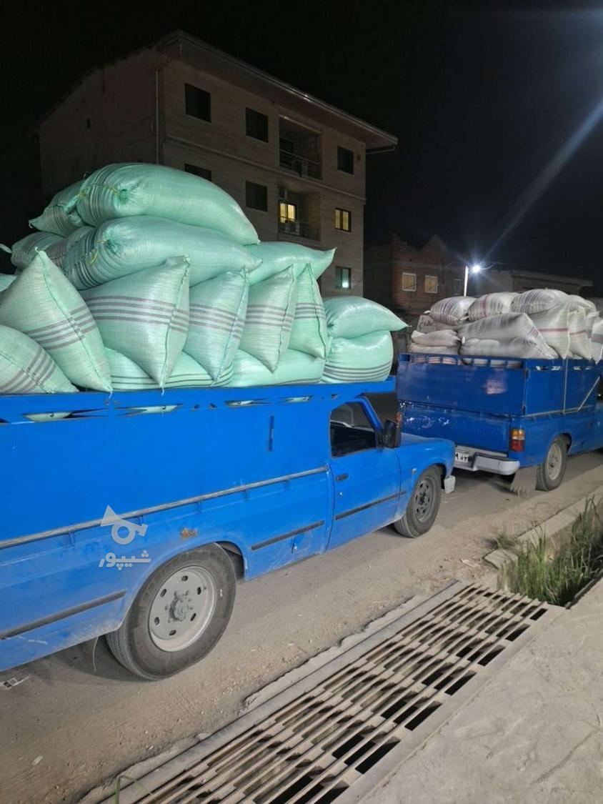 خریدار شالی وبرنج به صورت نقدی وبه قیمت روز