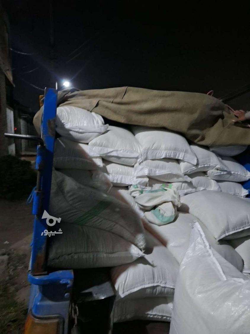 خریدار شالی وبرنج به صورت نقدی وبه قیمت روز