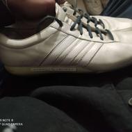 کتونی پورشه، ادیداس ویتنام