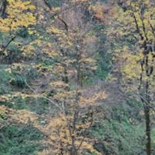 زمین مسکونی 324 متری