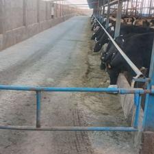 استخدام کارگر سالن دار