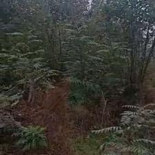 فروش زمین مسکونی 1000 متر در کپورچال