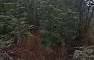 فروش زمین مسکونی 1000 متر در کپورچال