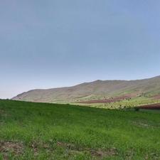 زمین و باغ .... 4هکتار