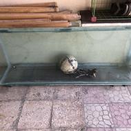 اکواریم سایز بزرگ