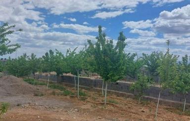 زمین500متری مجتمع اطلس،سندملکی،آب،نگهبانی