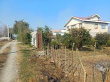 فروش زمین مسکونی 4000 متر در گیلاکجان در شیپور