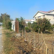 فروش زمین مسکونی 4000 متر در گیلاکجان