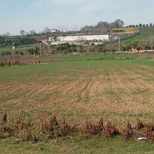 زمین 2400 متری - بر جاده - کردخیل