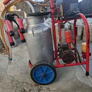 شیردوش گاوی درحد نو