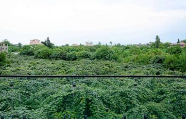 فروش زمین مسکونی 307 متر با مجوز ساخت در خیابان فردوسی شرقی