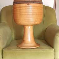 تمبک حلمی 20 ساله