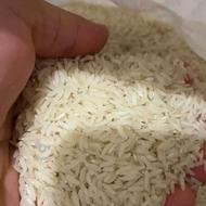 برنج طارم هاشمی