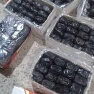 خرما مضافتی بم بهترین کیفیت داخیلی صادراتی