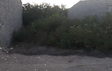 2 پلاک زمین . 1کوچه نیکان. جاده حویبار .2 کوچه گلستان داراب