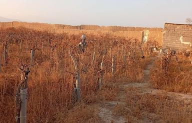 باغ فروش فوری در دیزج