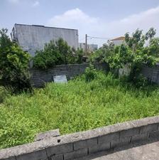 فروش زمین مسکونی 367 متر در بلوار بسیج کوچه12تهاتر