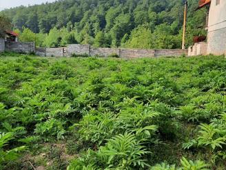 زمین مستطیل شکل