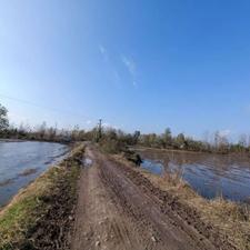 فروش زمین کشاورزی 1700 متر در جاده کیسم