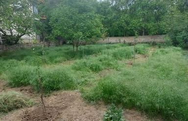 فروش زمین مسکونی 608 متر در ورازان