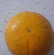 پرتقال فروشی