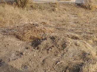 فروش 180 متر زمین دوبر تجاری مسکونی سیمینه