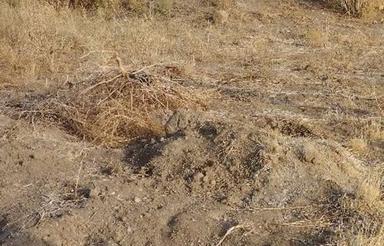 فروش 180 متر زمین دوبر تجاری مسکونی سیمینه