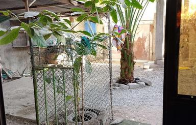 خانه اجارهای در ناصرآباد....