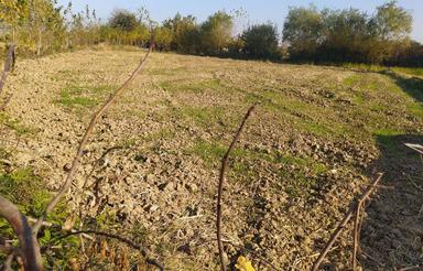 فروش زمین کشاورزی 1400 متر