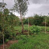 268 متر زمین مسکونی دهستان چهارده