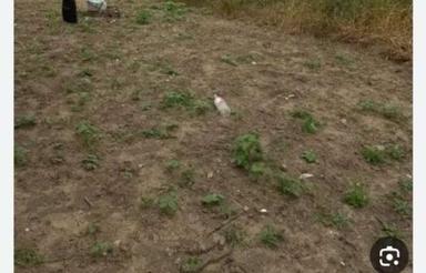 238 متر زمین مسکونی