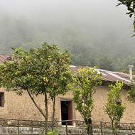 نیروی خانه داری اقامتگاه