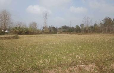 فروش زمین کشاورزی 4000 متر در گفشه