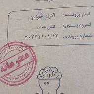 بازی فکری پروند جنایی