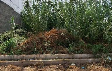 فروش زمین تجاری مسکونی پروانه دار اقساطی بیخ گوش شهر