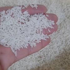 برنج طارم هاشمی