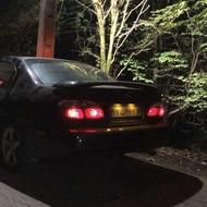 ماکسیما مدل 83 دور رنگ