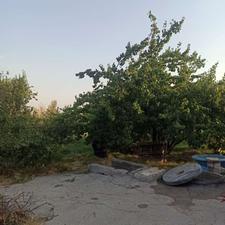 فروش 20من باغ سردرختی