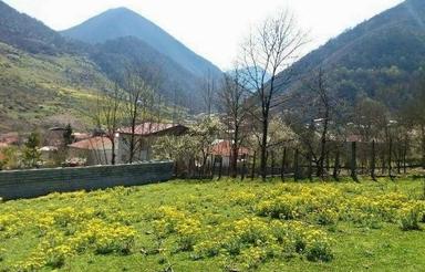 400متر زمین شهرکی در غرب مازنداران/خرید چکی بدون سود