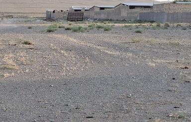 زمین دامداری وغیره