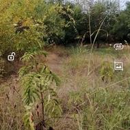 فروش زمین روستایی