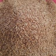 کنجد محلی و طلایی دو نوع کنجد