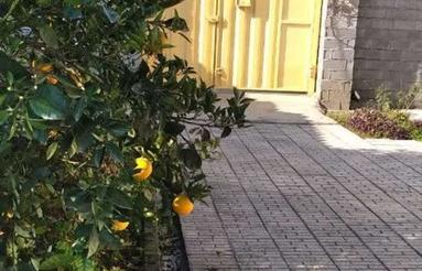 ویلایی نزدیک دریا و سرخرود حیاط دار