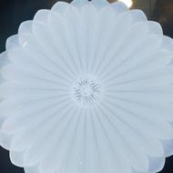 انواع لامپ حبابی و هالوژن رنگی