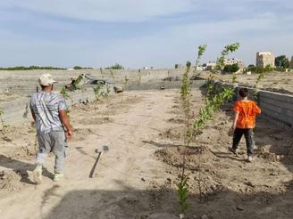 زمین باغی364متر
